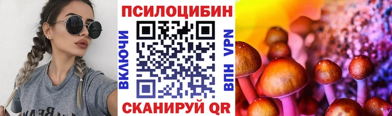 Галлюциногенные грибы GOLDEN TEACHER Чкаловск